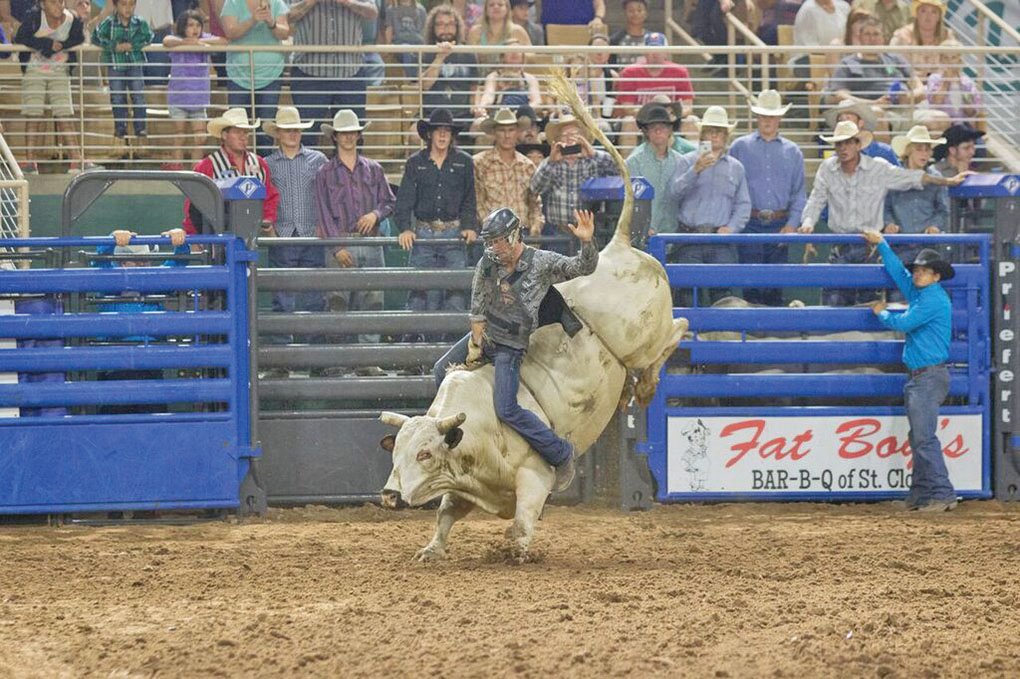Fans will watch contestants from all over the nation compete in the Silver Spurs Rodeo bull riding competition.